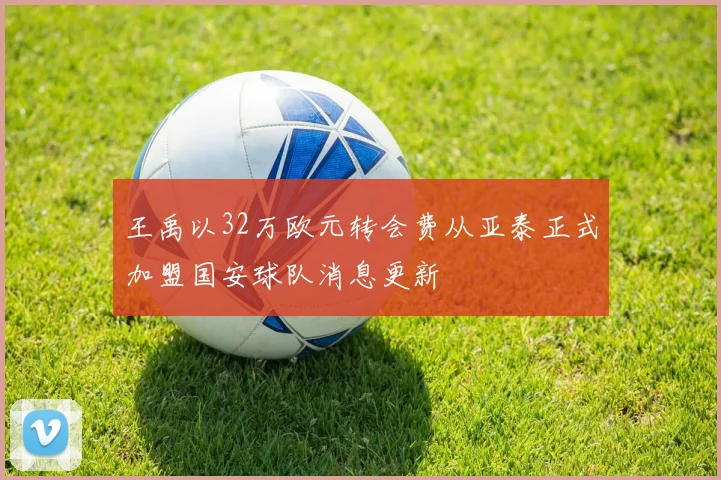 王禹以32万欧元转会费从亚泰正式加盟国安球队消息更新