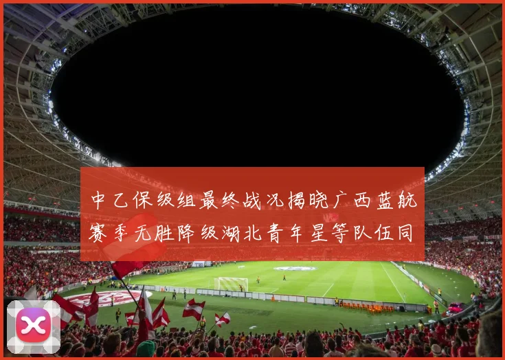 中乙保级组最终战况揭晓广西蓝航赛季无胜降级湖北青年星等队伍同遭降级