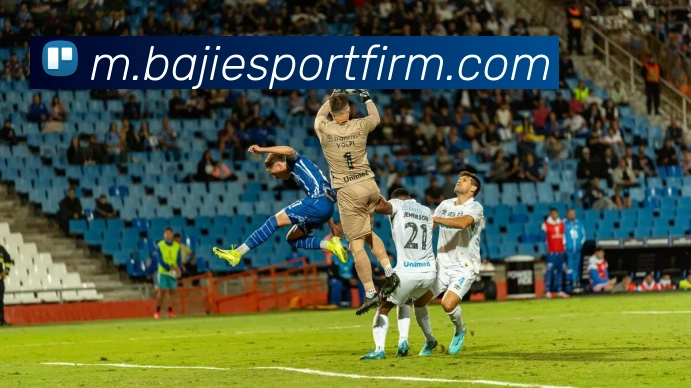 多媒体互动体验